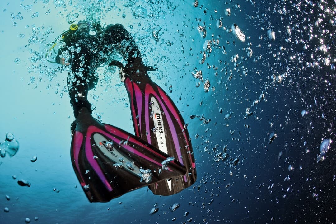 Master Rescue Skills with SSI Diver Stress and Rescue in Kaikōura