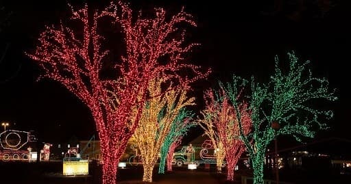 Trees wrapped in colorful holiday lights at Lakemont Park