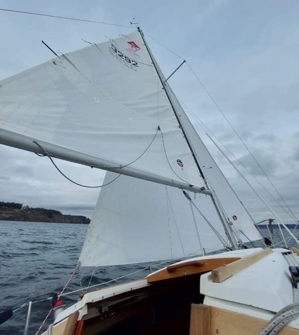 White sloop under full sail on choppy coastal waters near shore