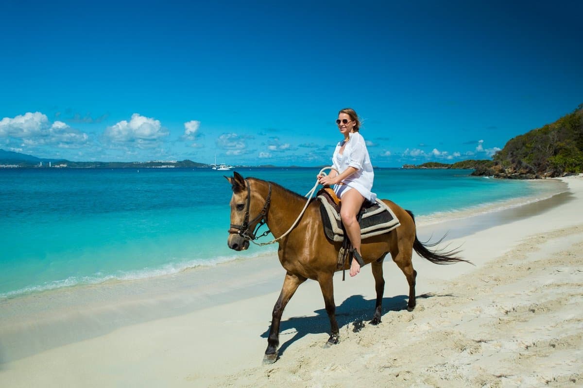 Beach Horseback Riding Adventures with Endless Adventure in Puerto Rico
