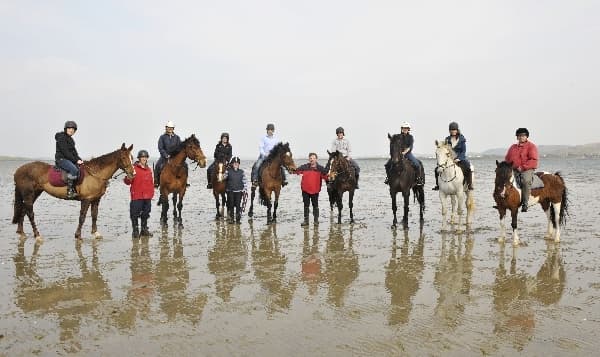Beach Horseback Riding at White & Silver Strand Beaches in Westport