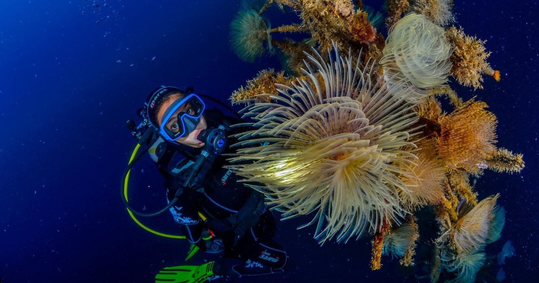 Marine Diving at Punta Campanella with Punta Campanella Diving Center