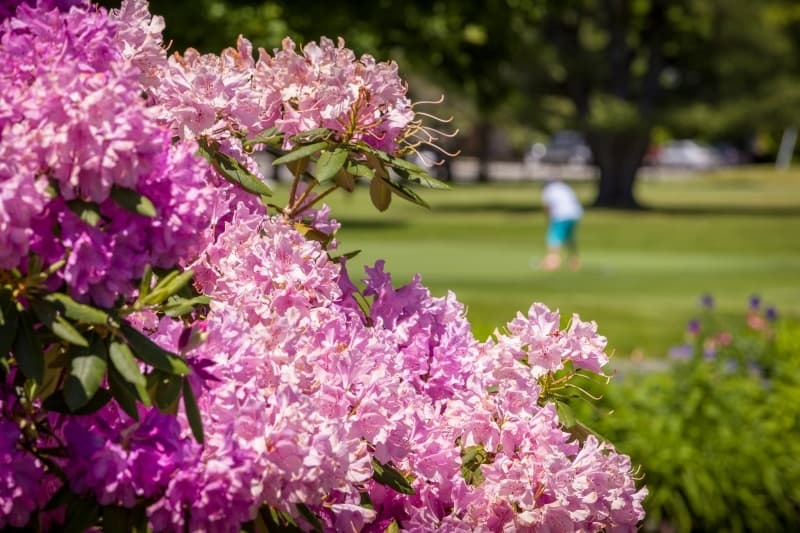 Junior Golf Clinics for Kids in Fairlee, Vermont