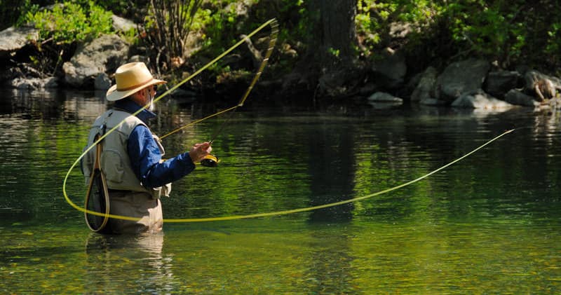 Fly angler casting in clear mountain river surrounded by forest