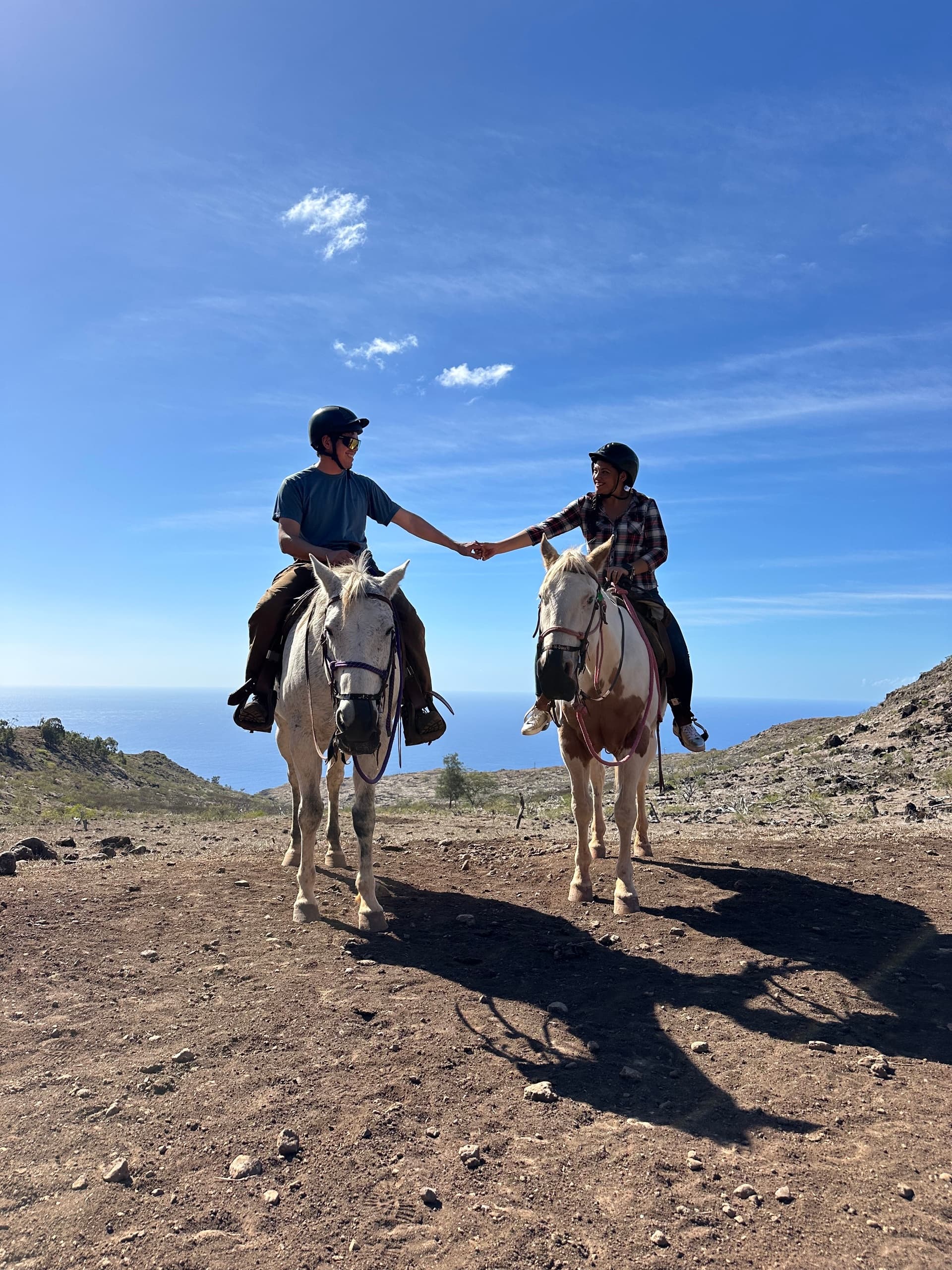 Horseback Riding in Hawaii: Palehua Trail Rides’ Sunshine Private Ride