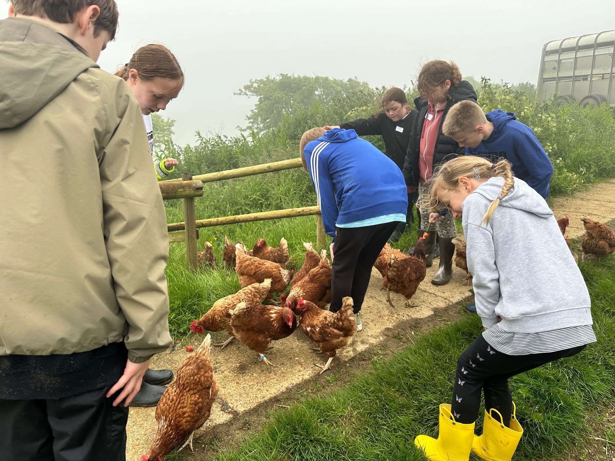 Group collecting free range eggs and feeding hens outdoors
