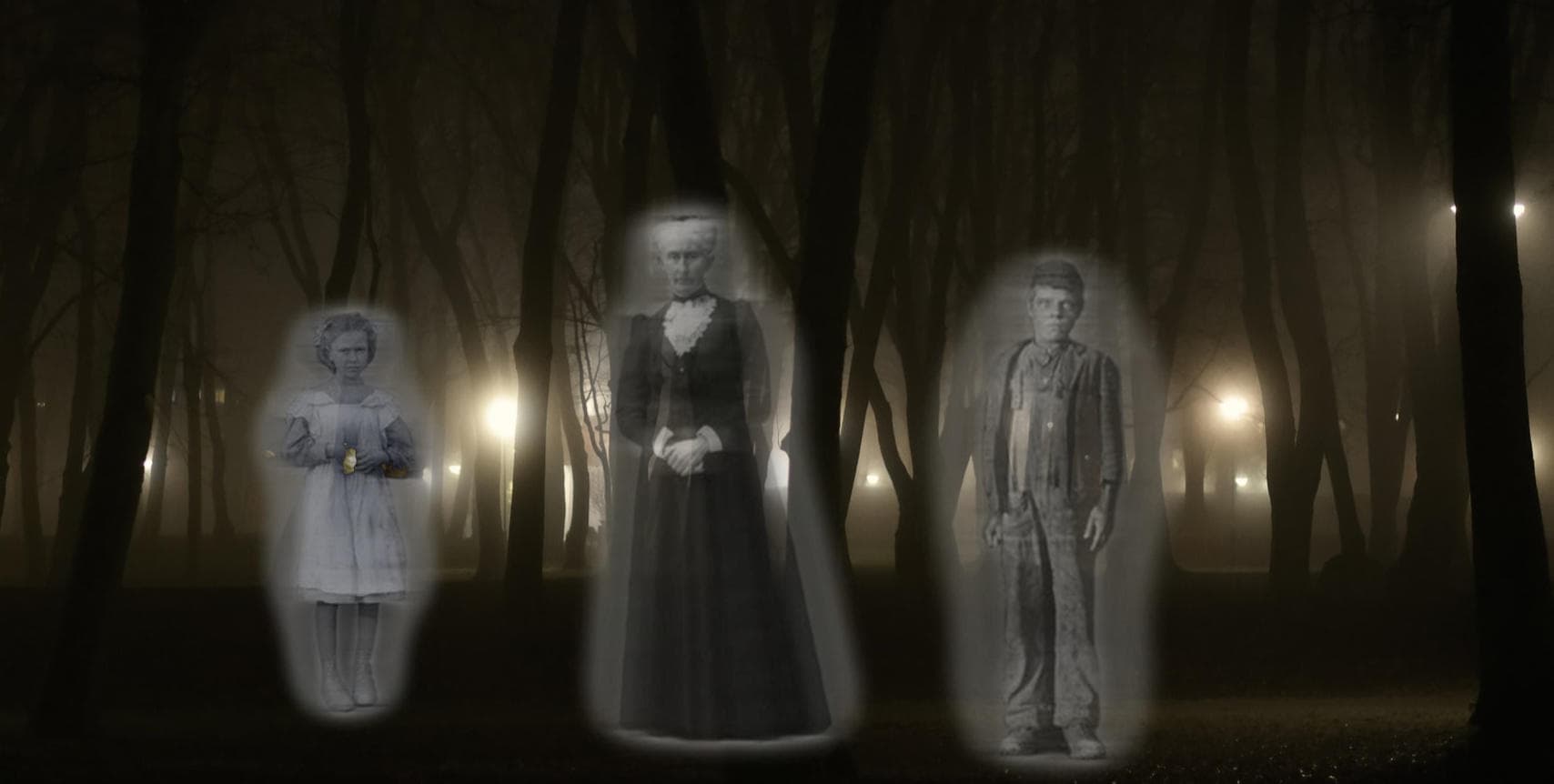 Ethereal ghost silhouettes standing in foggy woodland walking tour
