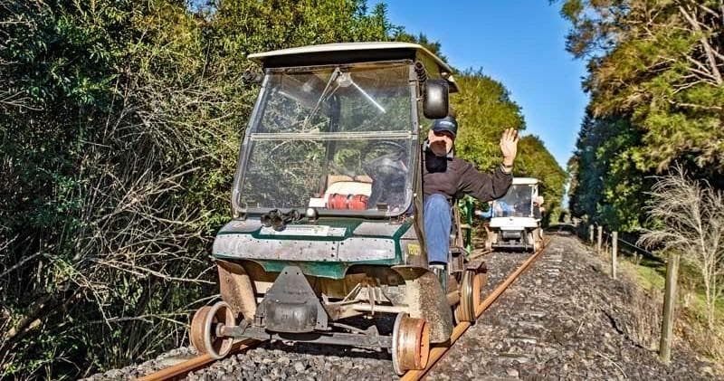 Land Adventure: Bushwalk & Snack Run at Awakeri Rail Adventures