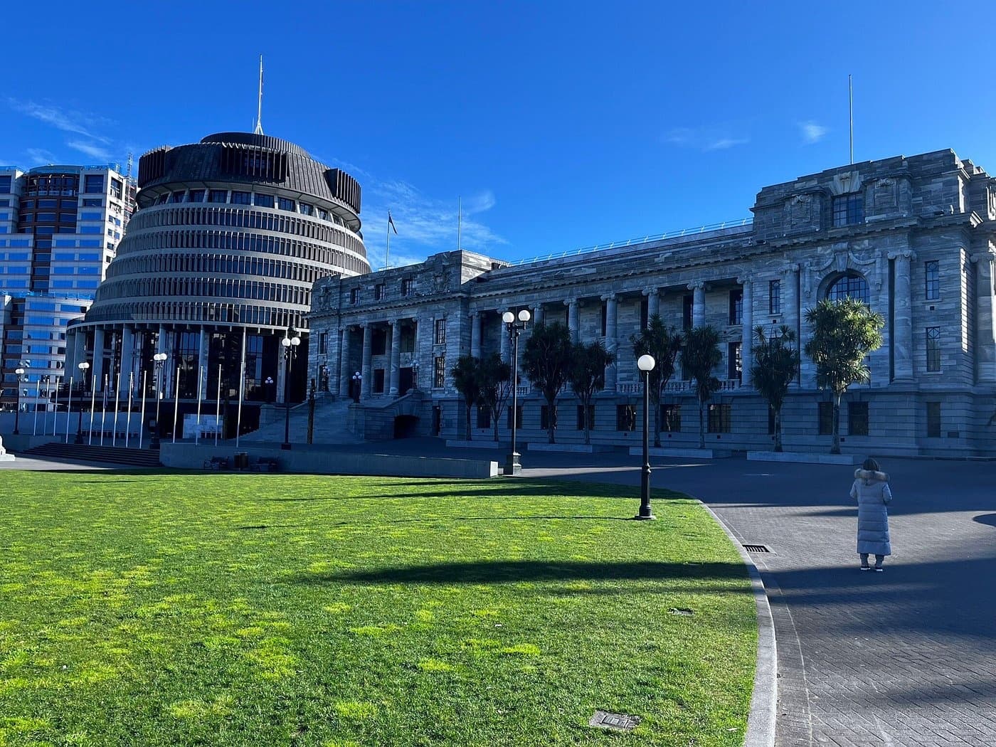Three-Hour Wellington Eco Walk: Cable Car Views, Botanic Garden & Cuba Street photo 4