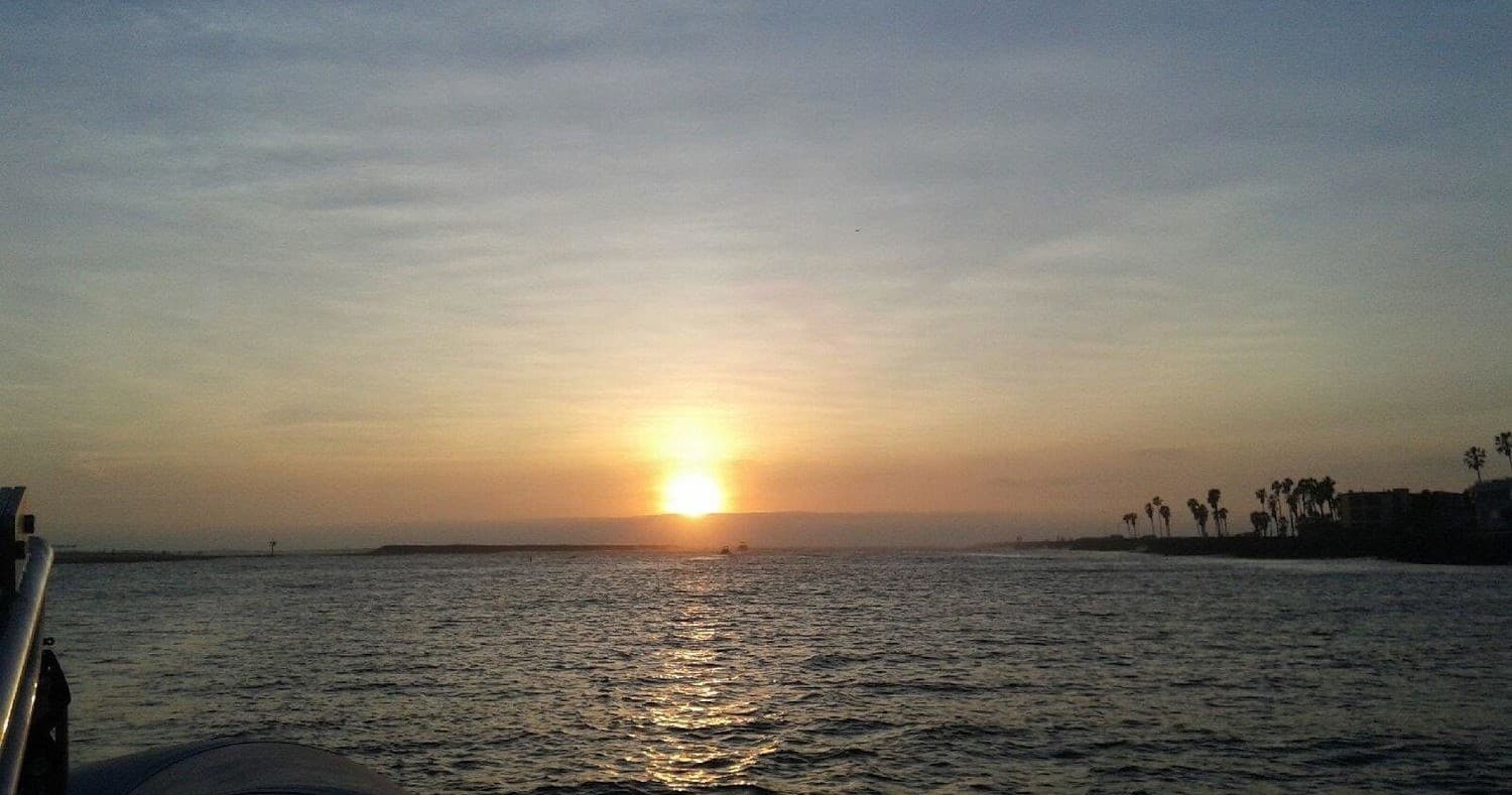 Sunset over ocean horizon with palm silhouettes and glow