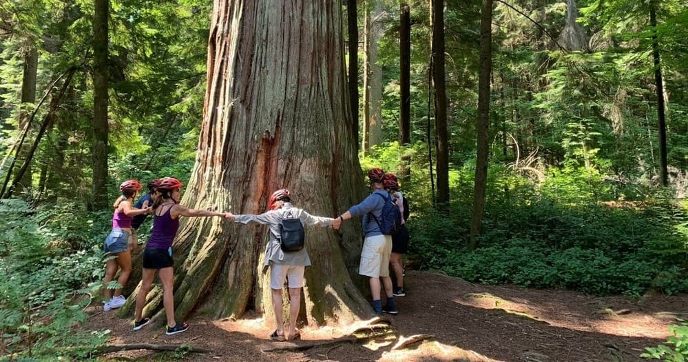 The Stanley Park Bike Tour of Vancouver