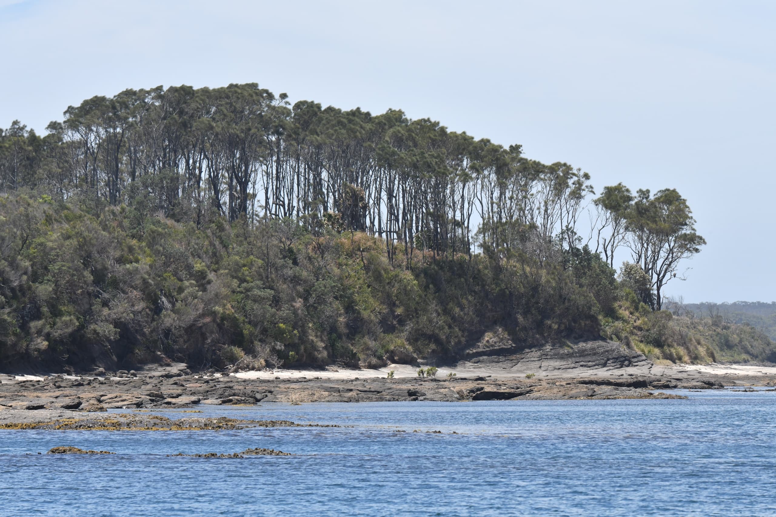 Self-Drive Polycraft Hire in Jervis Bay: Explore Huskisson’s Turquoise Waters photo 3