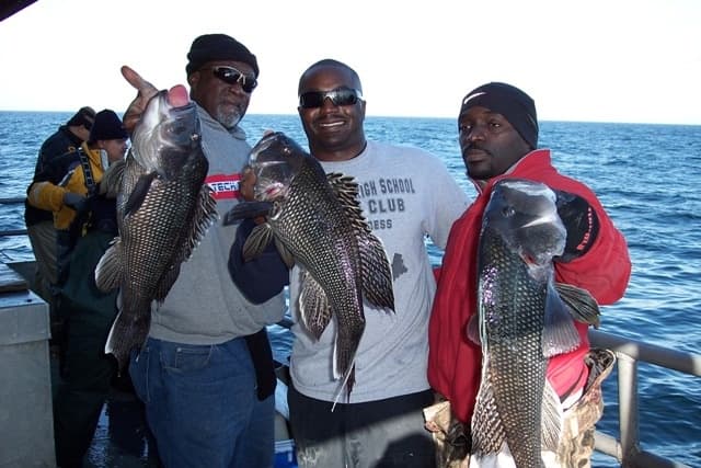 Three anglers displaying fresh catches together on sportfishing boat