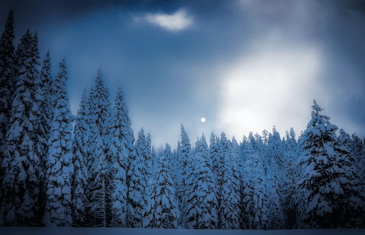 Full Moon Snowshoe Tour in Albuquerque’s Sandia Mountains