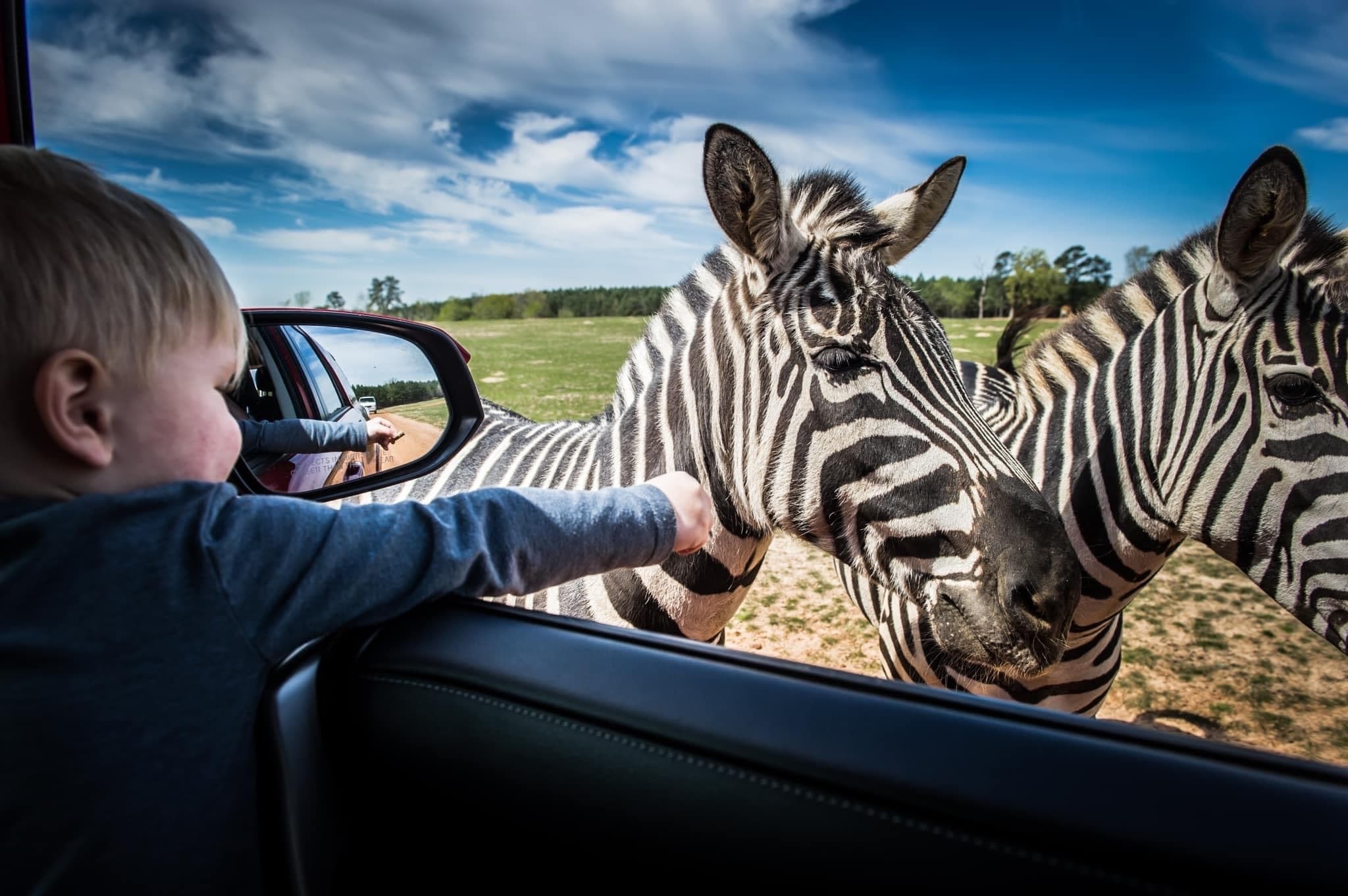 Wildlife & Safari Adventure at Busy B Ranch & Wildlife Park