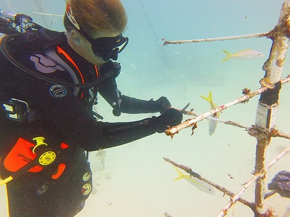 Southpoint Divers fleet