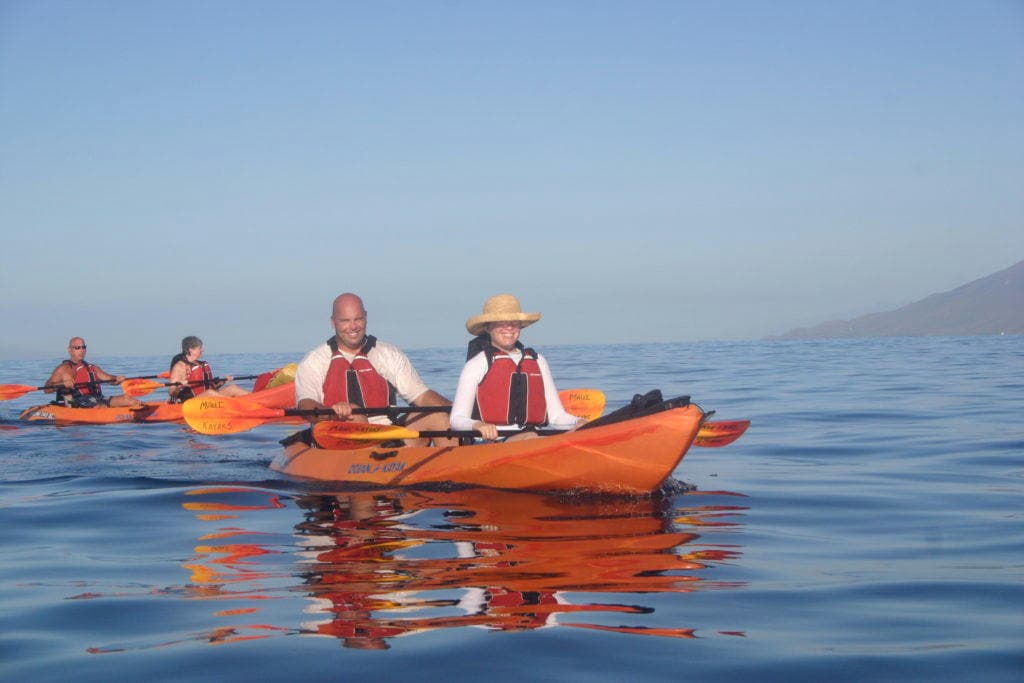 Lahaina Dolphin Snorkel & Whale Watch Adventure