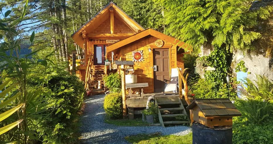 Rustic waterfront cabin nestled in forest with lake access