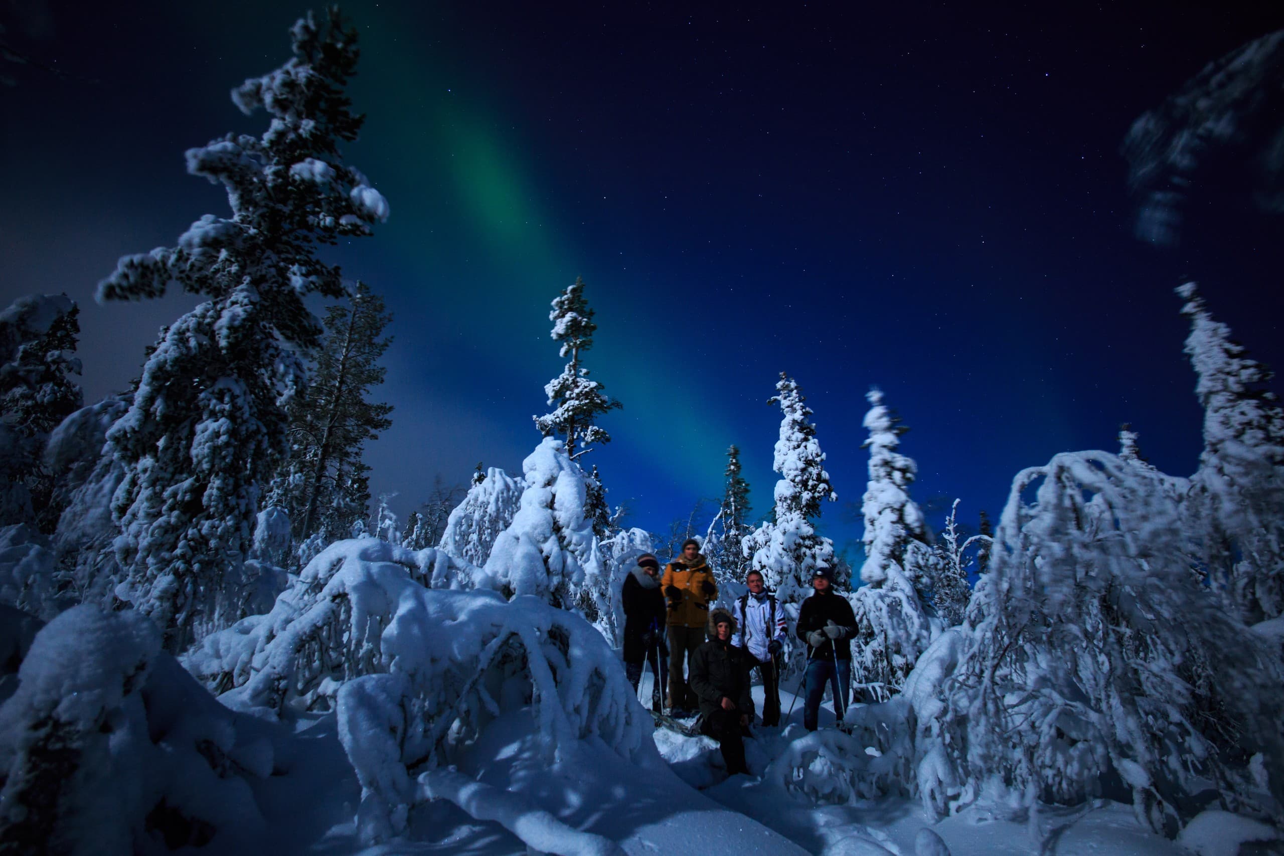 Moonlit Snowshoe: Northern Lights Chase in Sirkka, Lapland photo 1