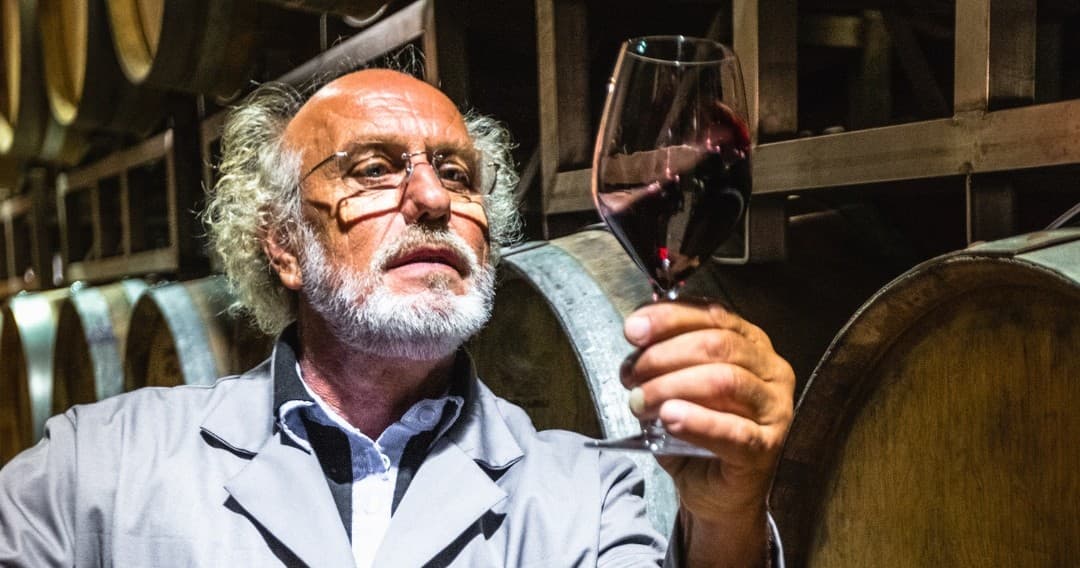 Wine Tasting & Farm Tour at Alentejo Winery