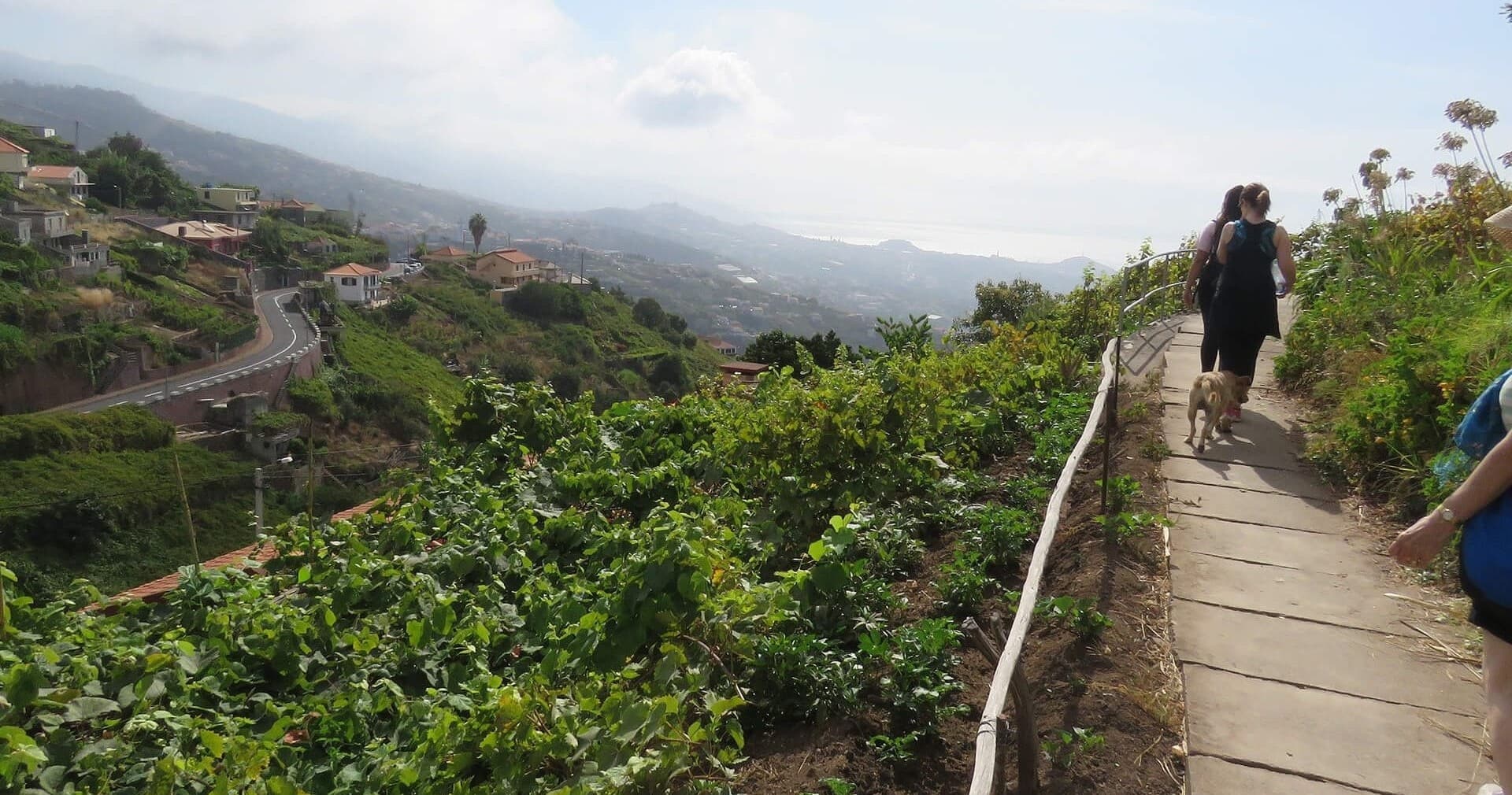 Madeira Happy Tours' Levada do Estreito Hiking Adventure in Funchal