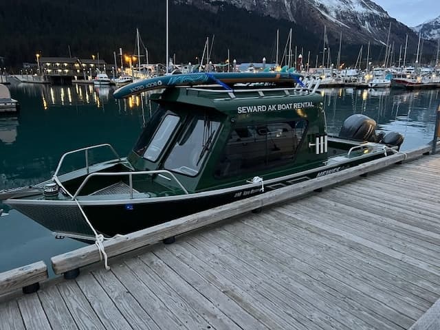 Private Seward Wildlife Charter — Full-Day Sapphire Tour to Aialik & Holgate Glaciers photo 1