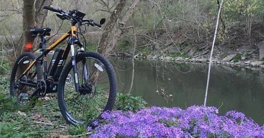 Mountain bikes parked by riverside with purple wildflowers