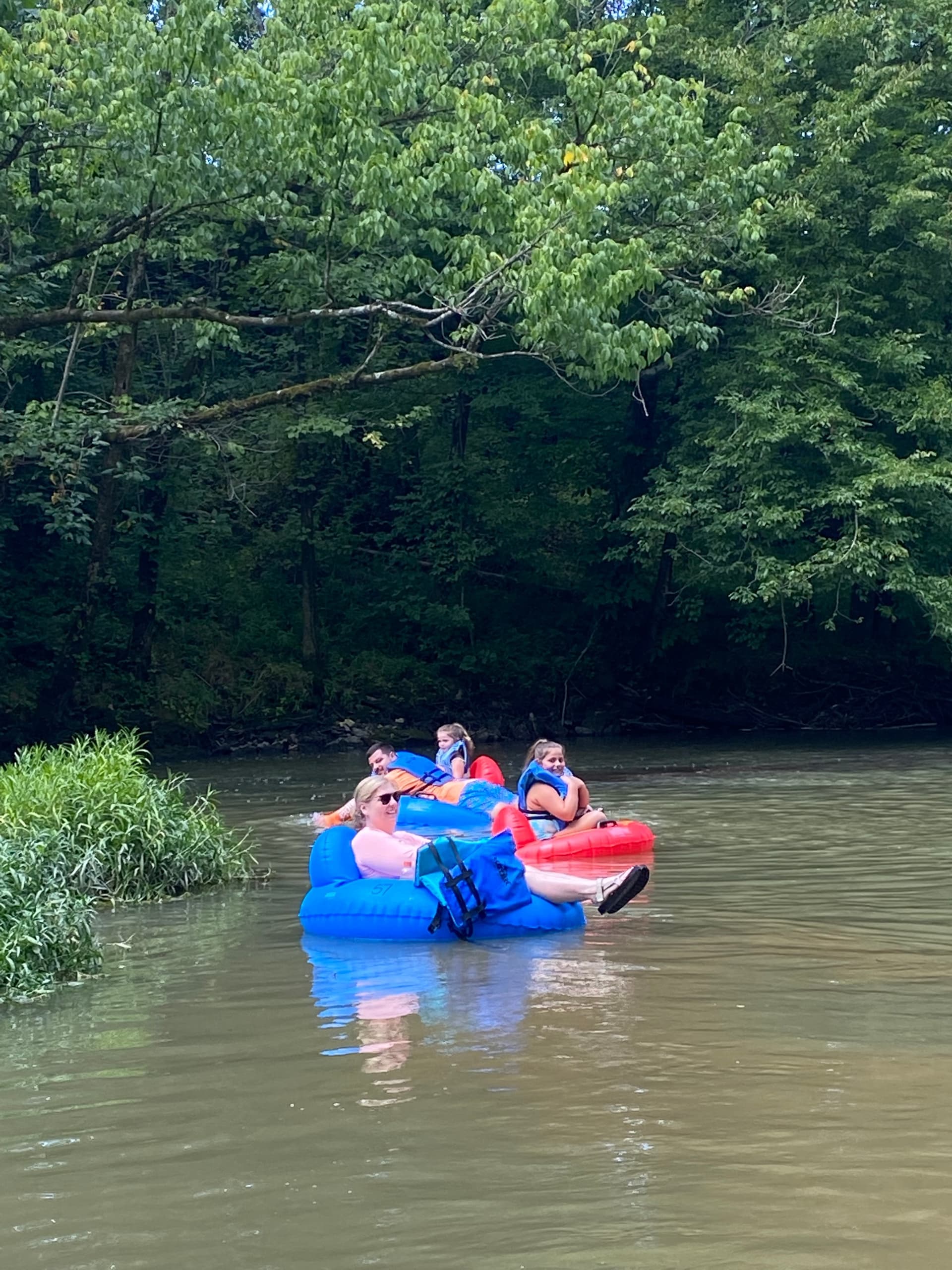 People relaxing on inflatable tubes in green forested river
