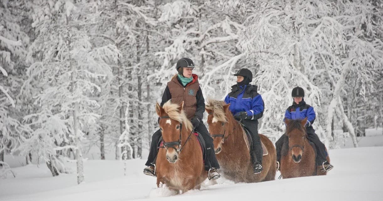 Horseback Riding with Kakslauttanen in Arctic Finland