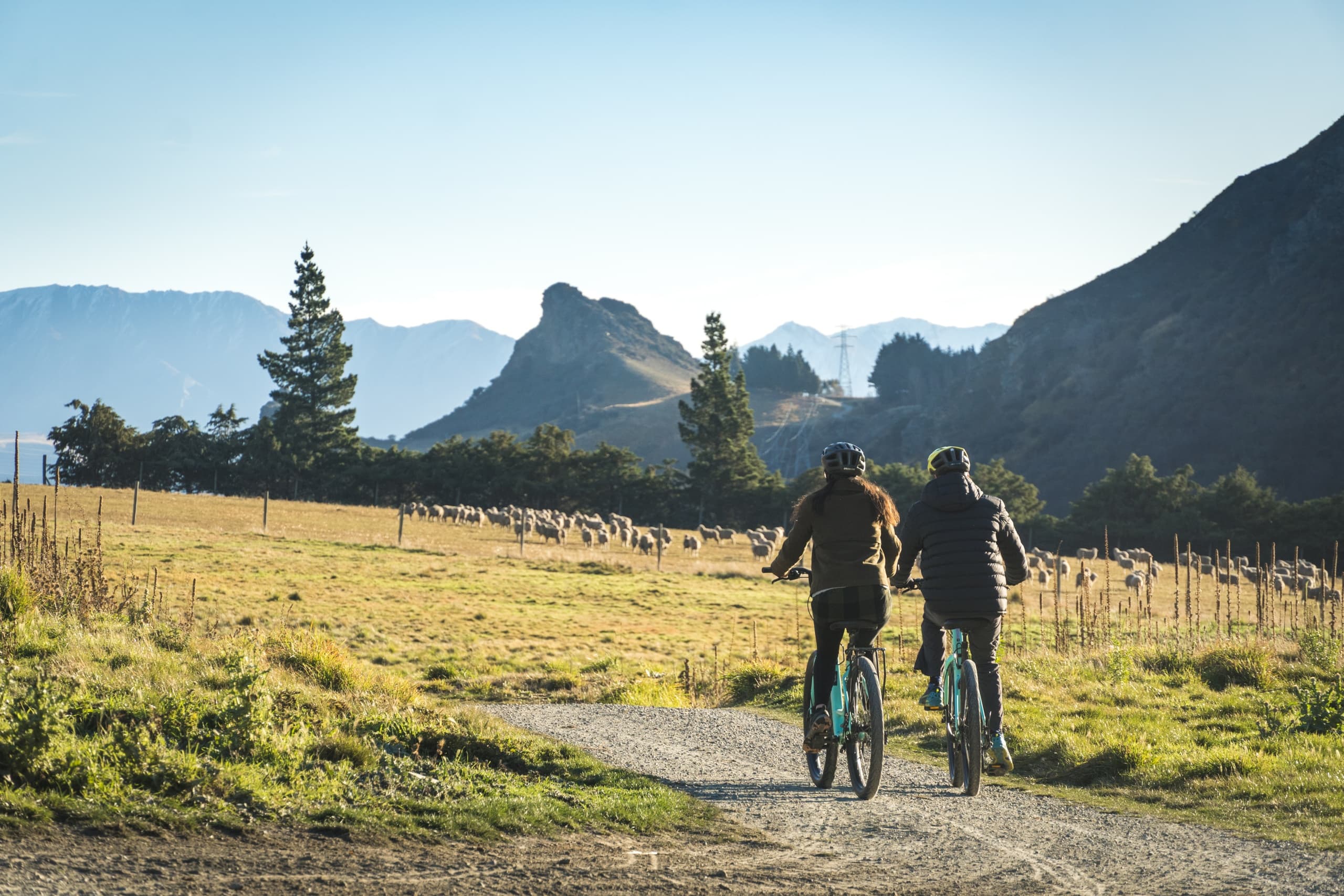 Land Adventure: Queenstown to Arrowtown Shuttle | The Adventure Collective