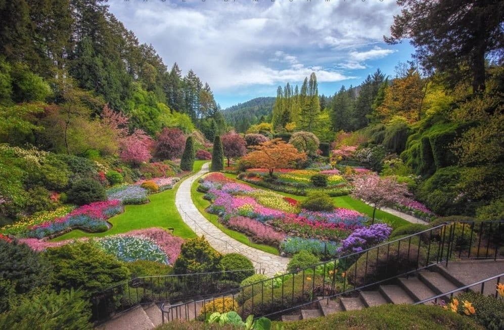 Inside Victoria: 4-Hour Guided Tour to Butchart Gardens, Beacon Hill & Inner Harbour