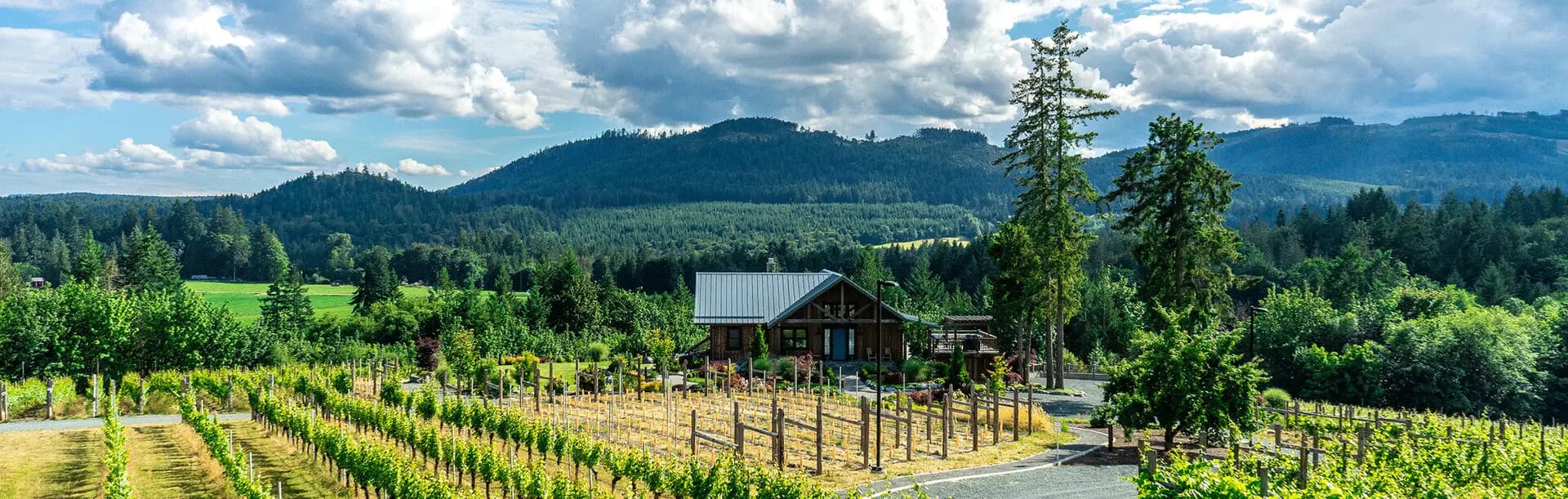 Cowichan Valley Wine & Cider Tour: Malahat Drive Tastings from Victoria photo 1