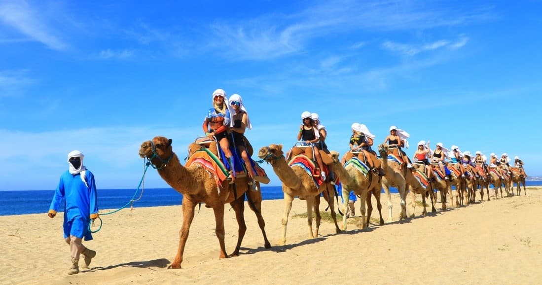 Water Activities & Land Adventures with Cabo by Sea