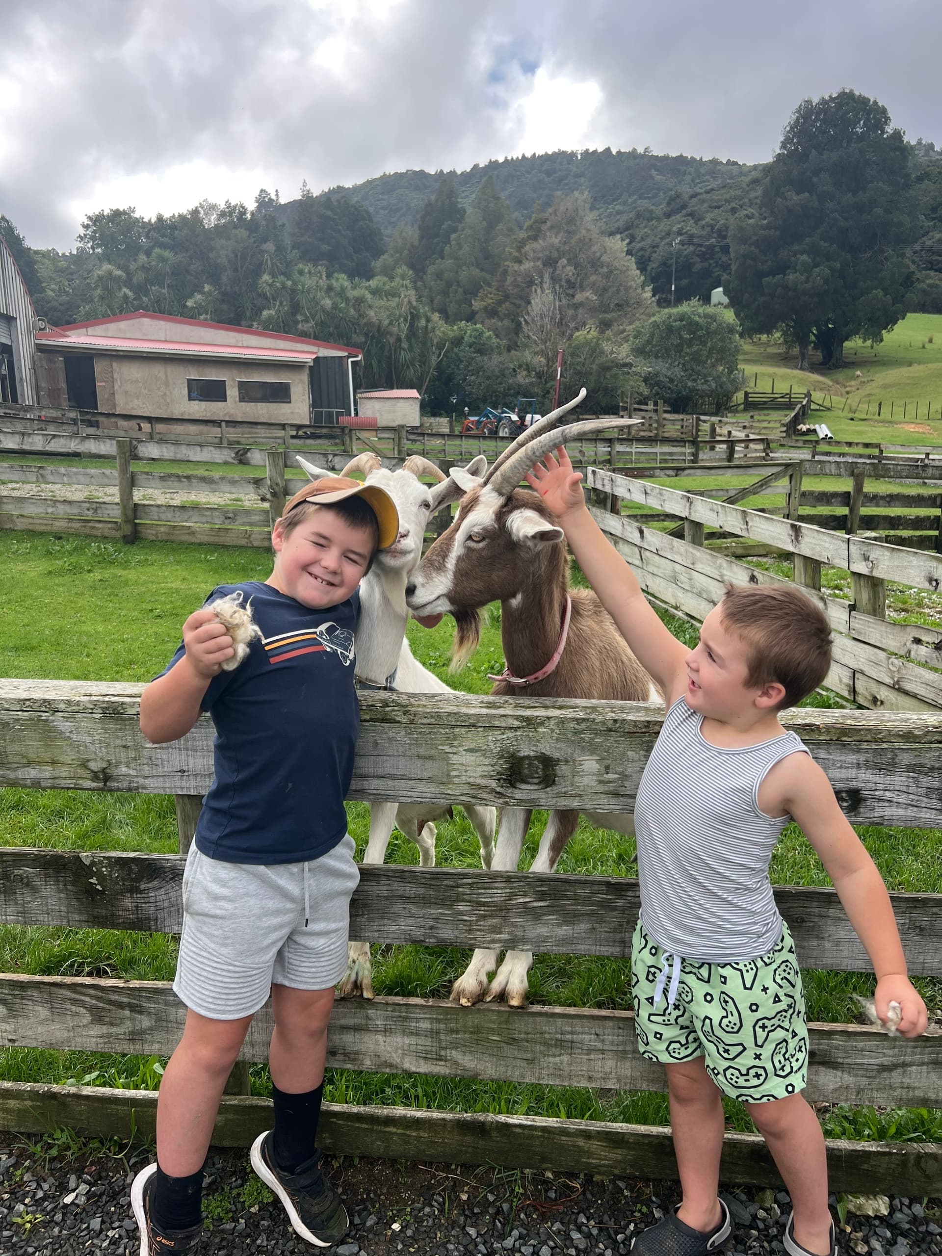 Easter at the Farm: Family Day Out at Sheepworld, Warkworth (4 April 2026)