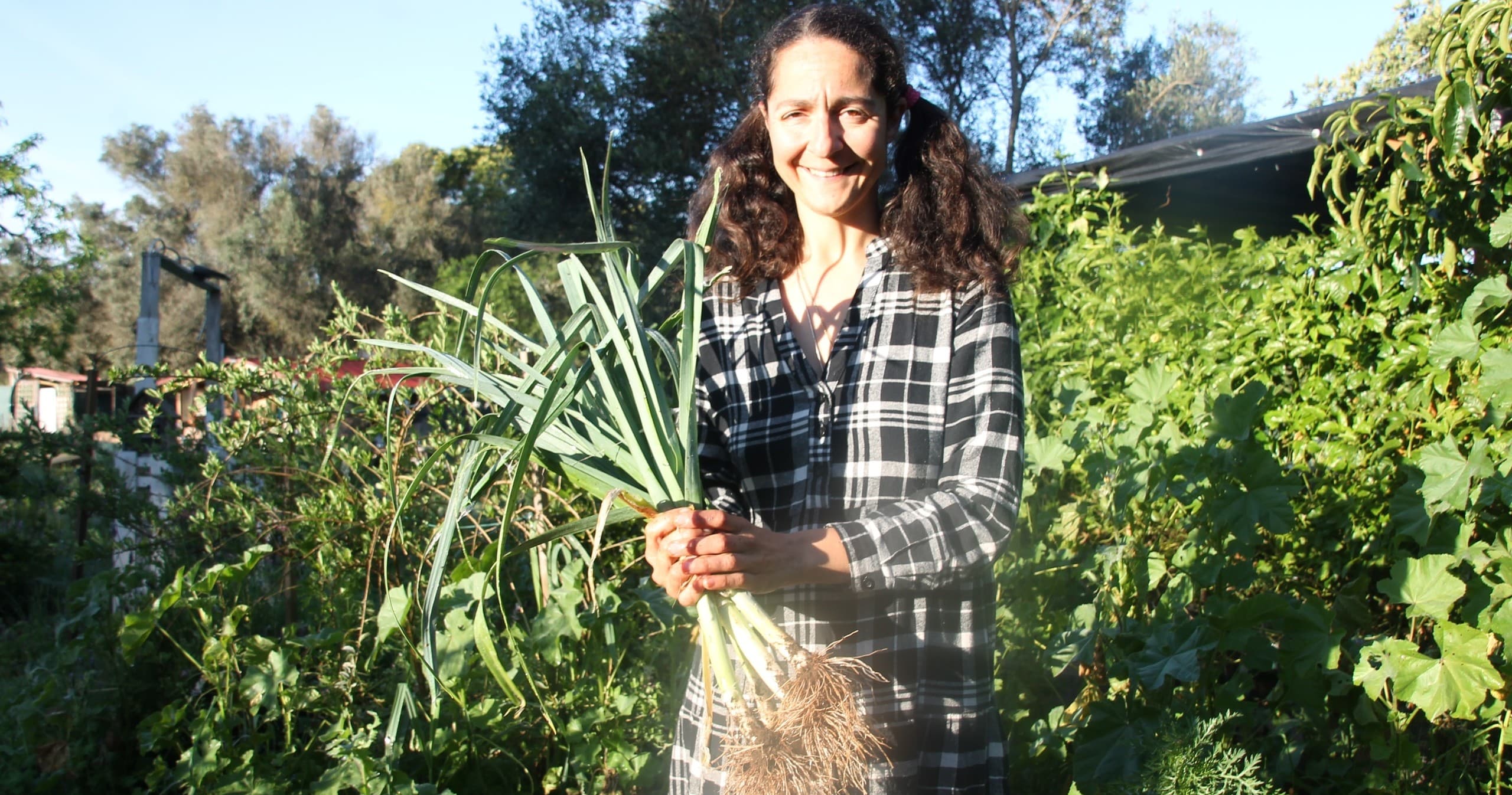 Outdoor Food & Nature Trip at Algarve Permaculture Experience