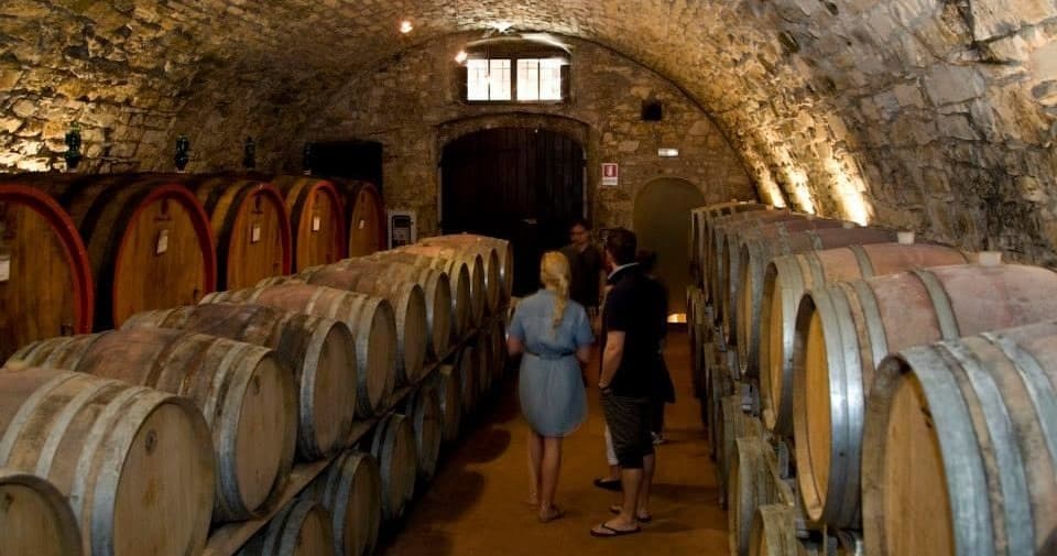 Supertuscan Wine Tour in Bolgheri with Under The Tuscan Sun