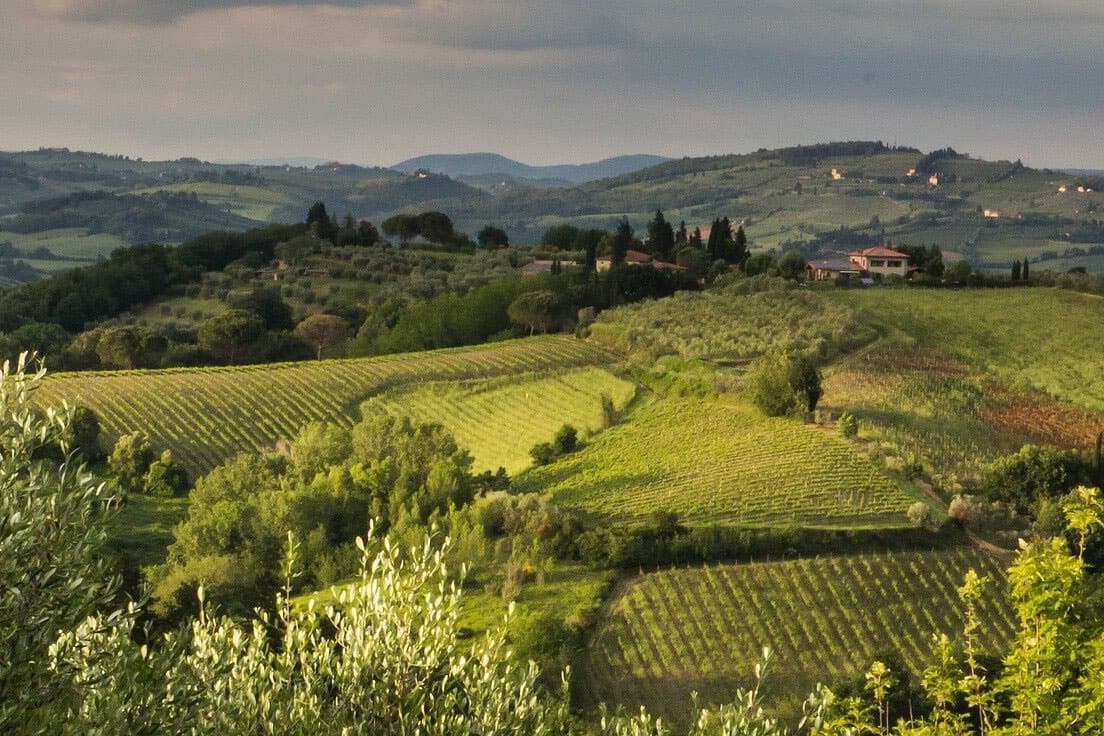 Discover Tuscany’s Truffle Hunt: A Five-Hour Culinary Adventure in the Heart of Italian Countryside