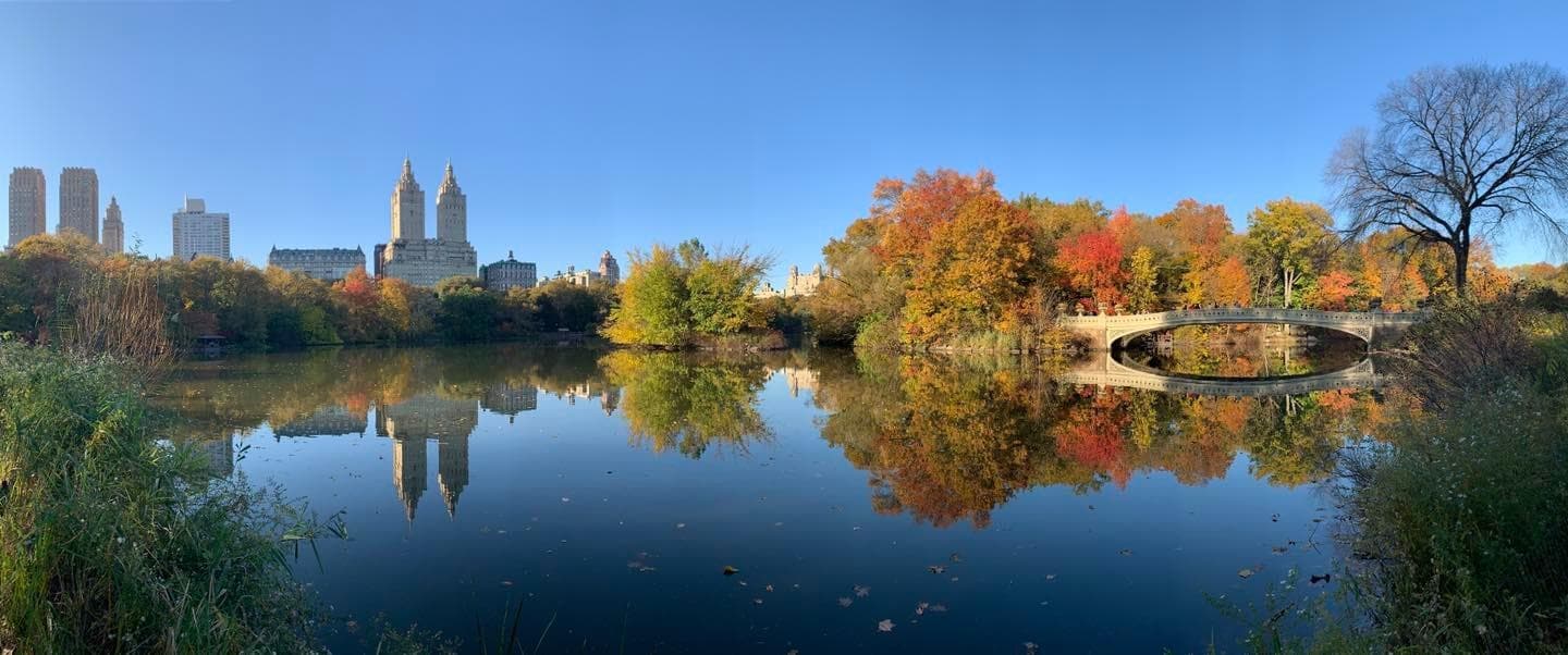 Autumn Central Park pond reflecting skyline, serene panorama