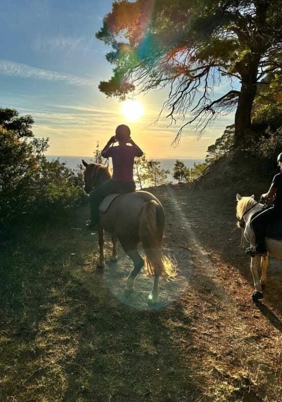 Horse Riding at Alonaki Beach — Guided Coastal Rides near Preveza photo 1