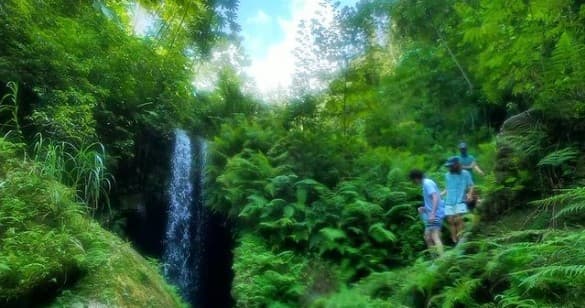 Discover Janzu: Puerto Rico’s Unique Water Healing Experience for Relaxation and Rejuvenation