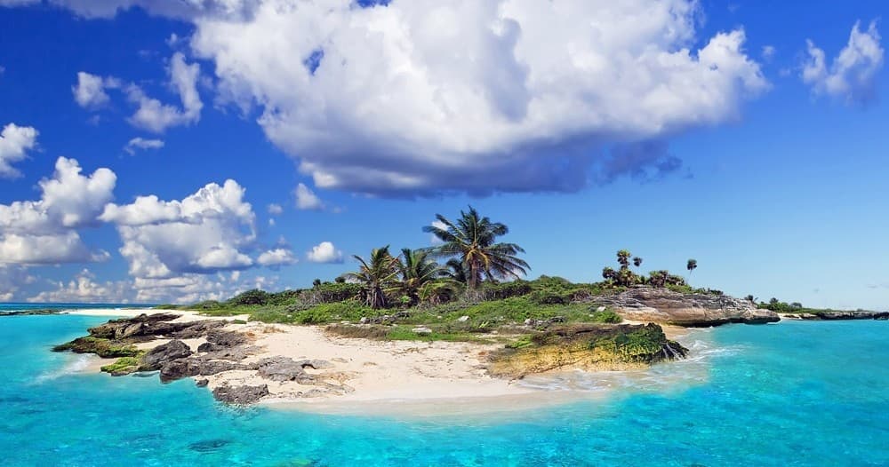 Private Boat Tours on Florida’s Gulf Coast with Wayward Key
