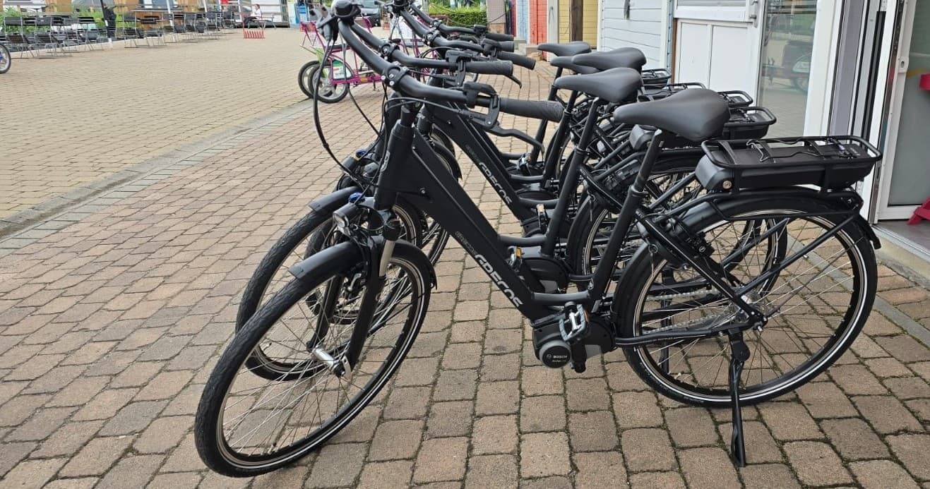 E-Bike Adventures with Freizeit-Abenteuer GmbH in Leipziger Neuseenland