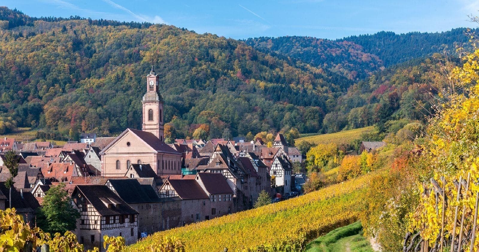 Land Adventures in Alsace with Henry Heidelberg Tours