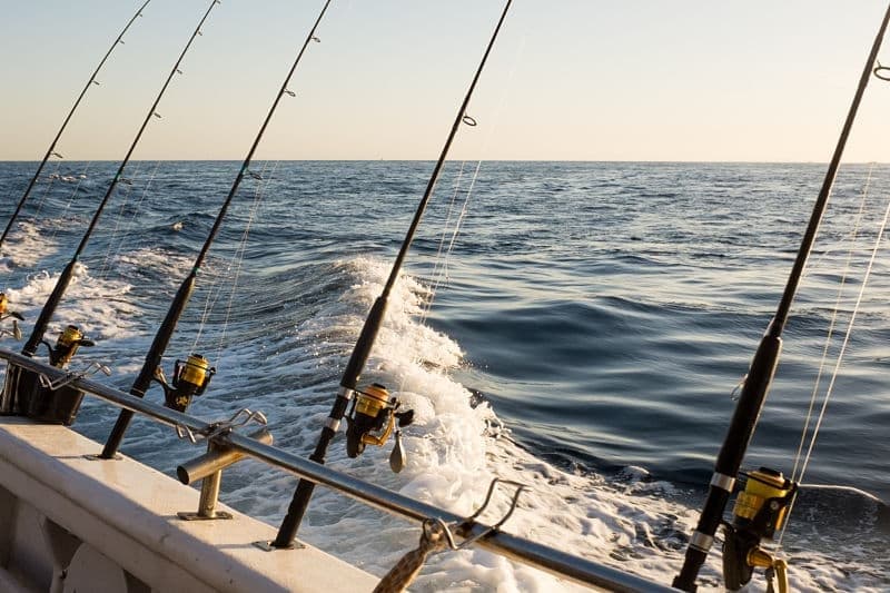 Gulf Coast Excursions team
