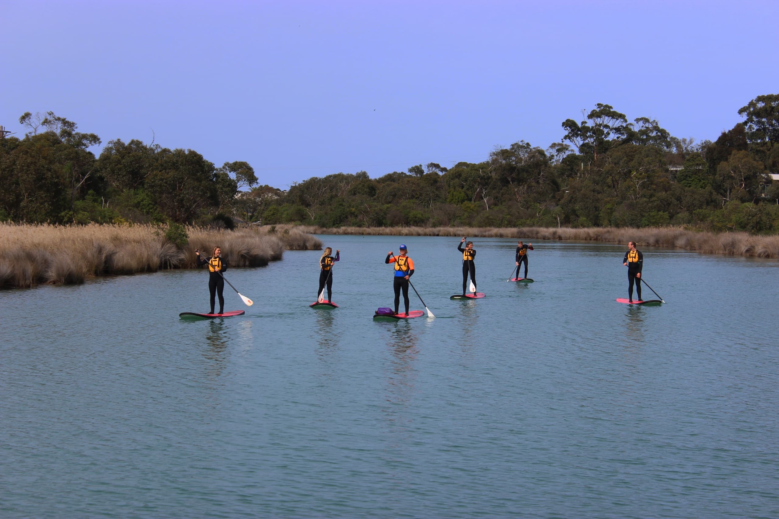Stand-up paddleboarders gliding on calm river inlet at sunrise