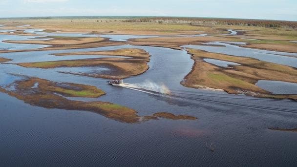 Airboat Rides at Midway fleet
