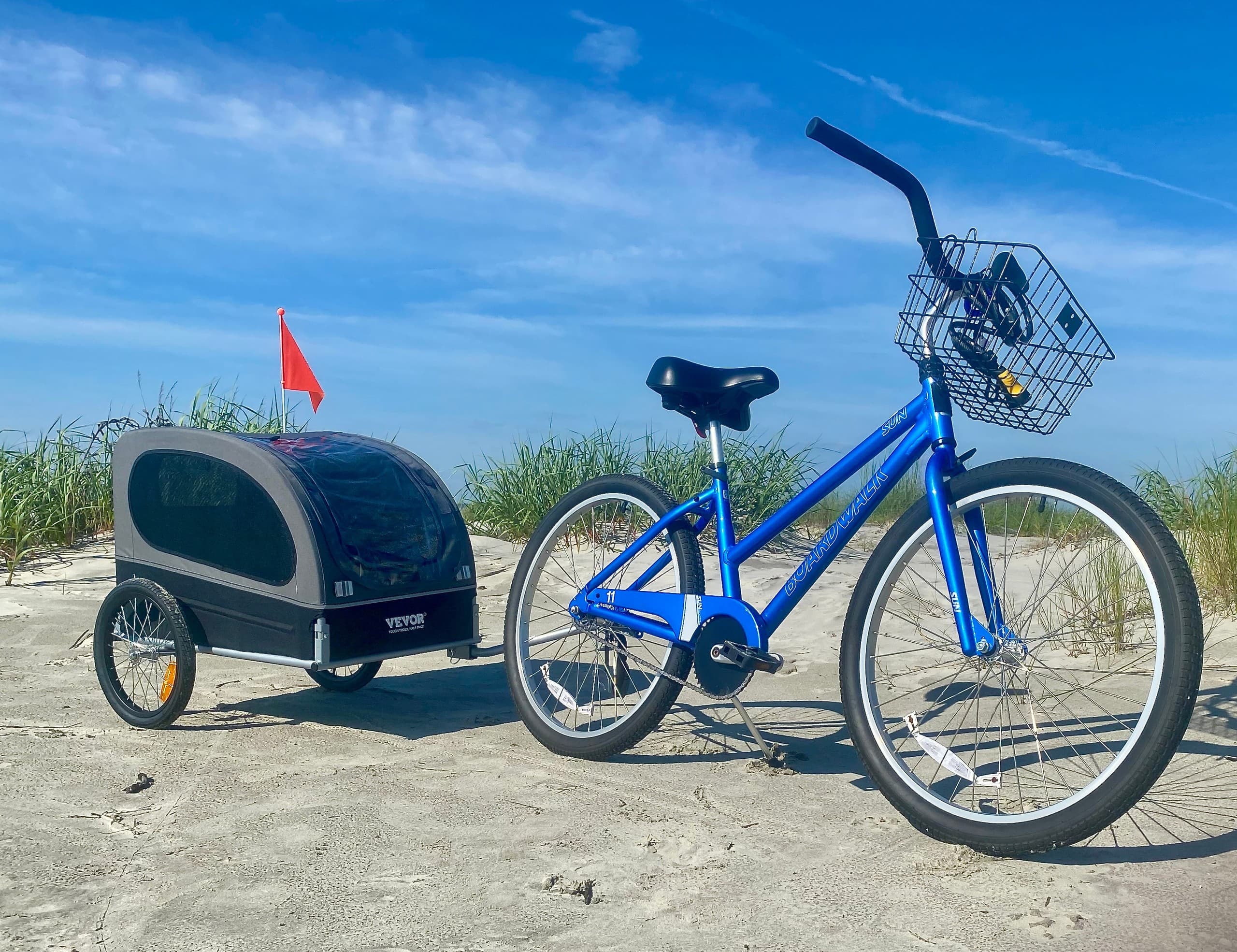 Bring Your Dog: Bike Trailer Tours on St. Simons Island