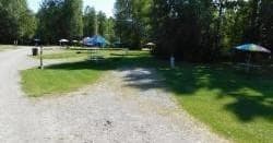 Camp Site 31 at Montana Creek Campground, Alaska