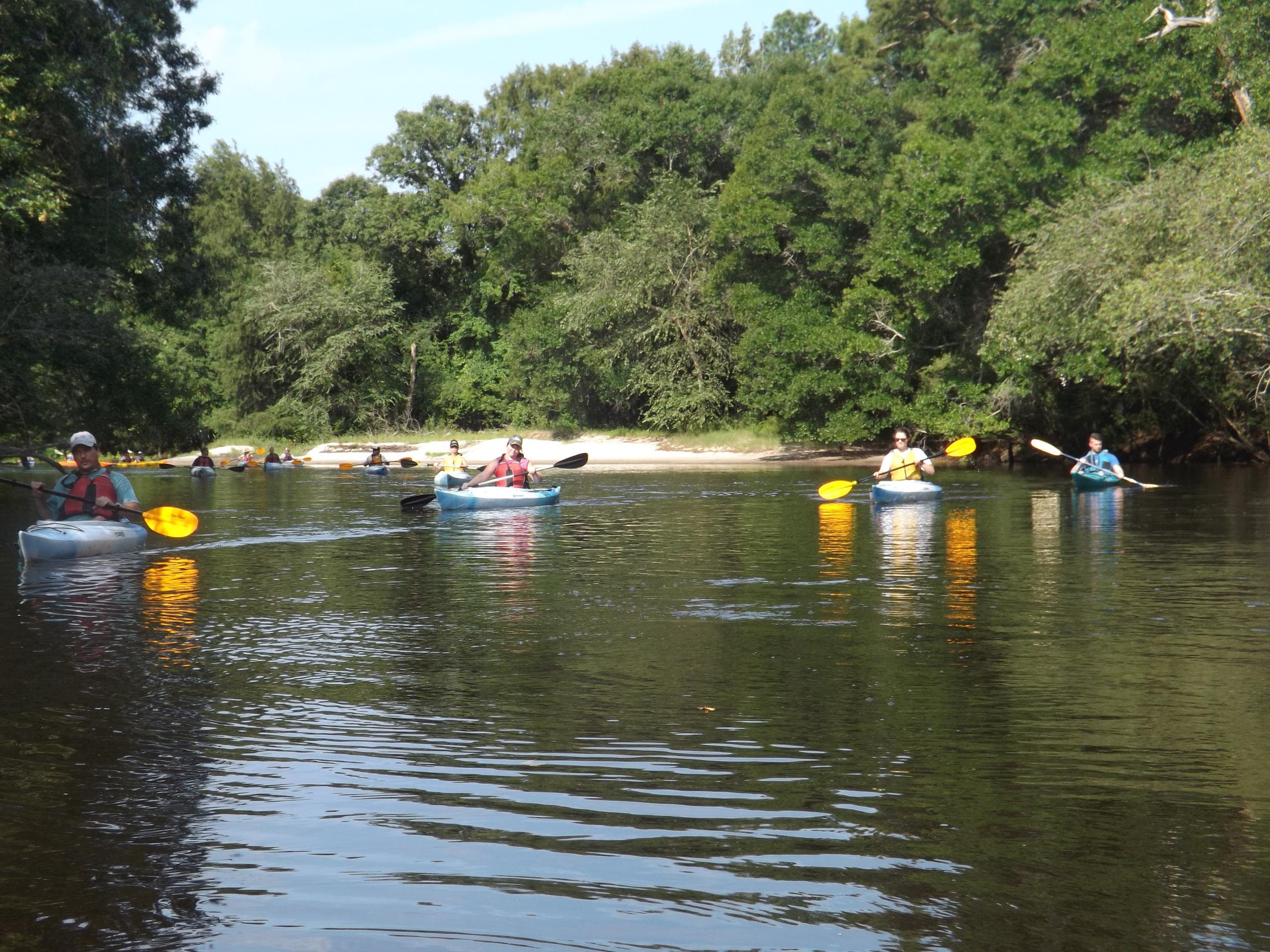 Eco Tour in Winnabow, North Carolina