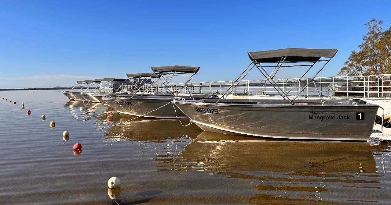 Aluminum tour boats moored along a sandy lake shoreline at low tide